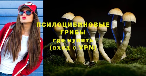 меф Карпинск